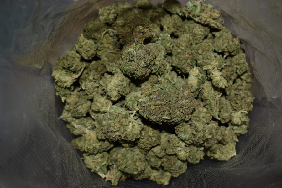 Chiesel Cannabis Strain
