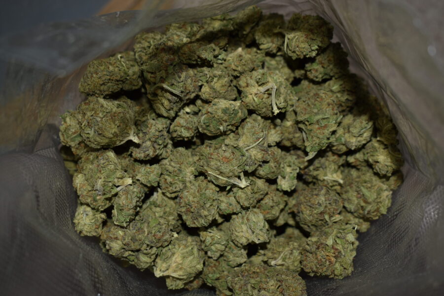 Chiesel Weed Strain