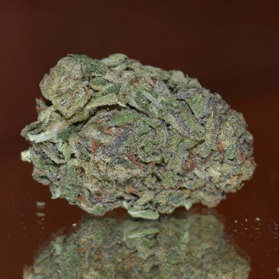 Chiesel Bud