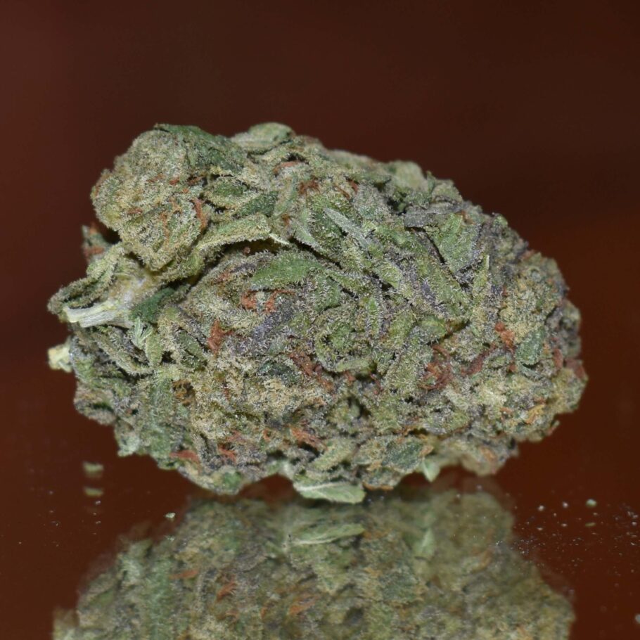 Chiesel Bud