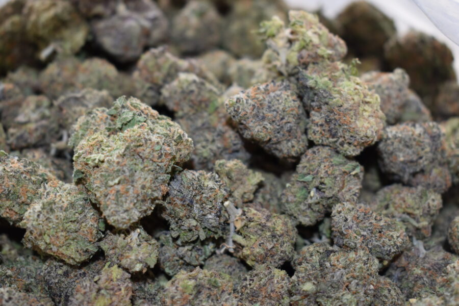 Do-Si-Dos Weed Strain