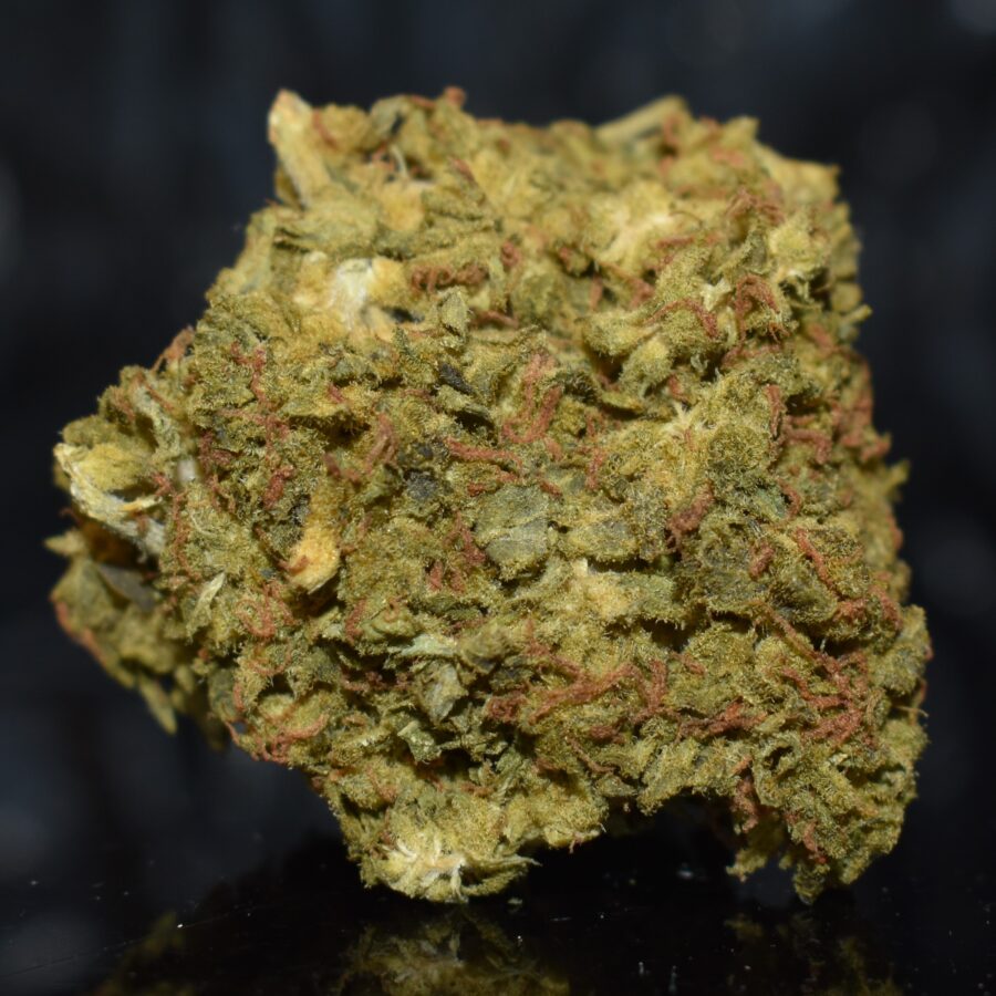Gorilla Cookies Marijuana Strain