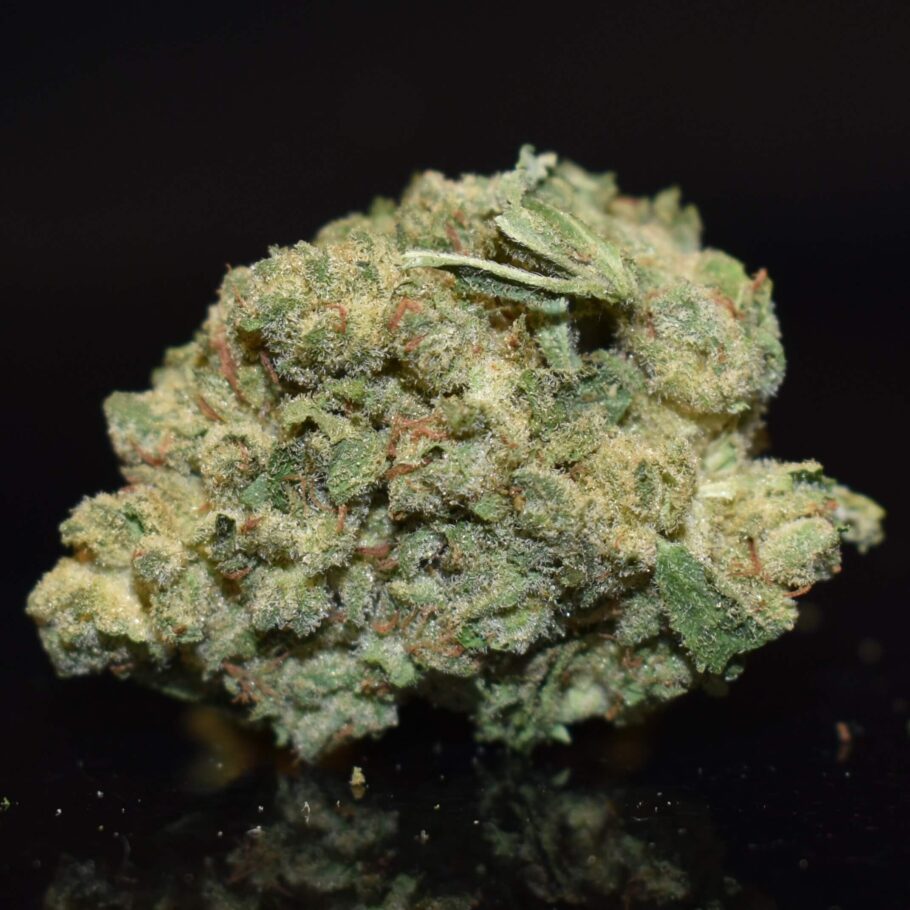 Grease Monkey Strain
