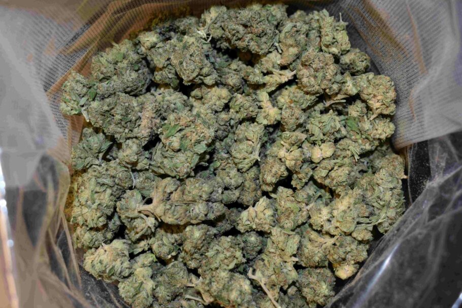 Grease Monkey Marijuana Strain