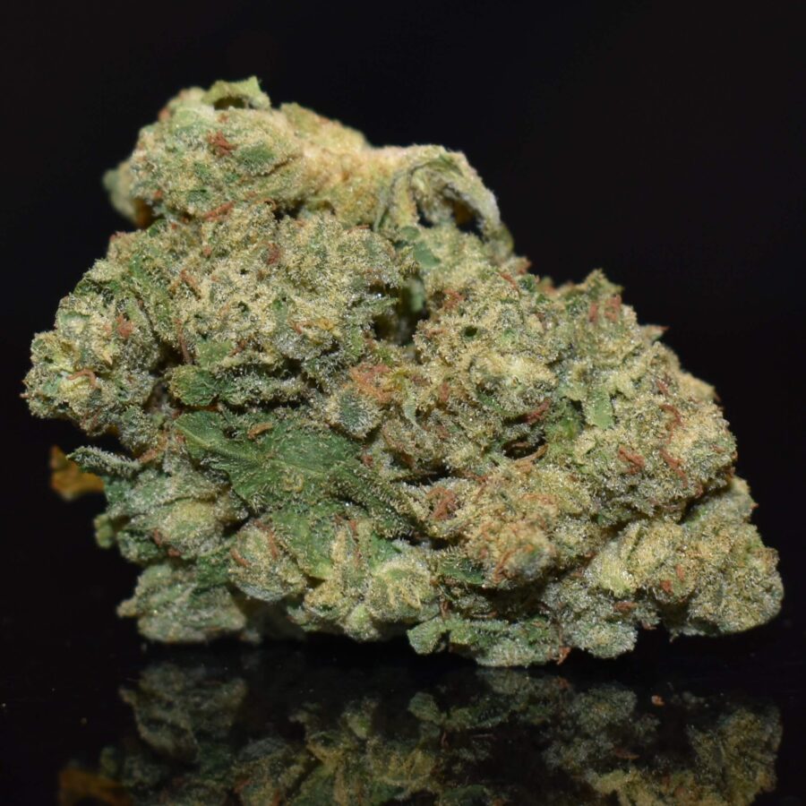 Grease Monkey Buds