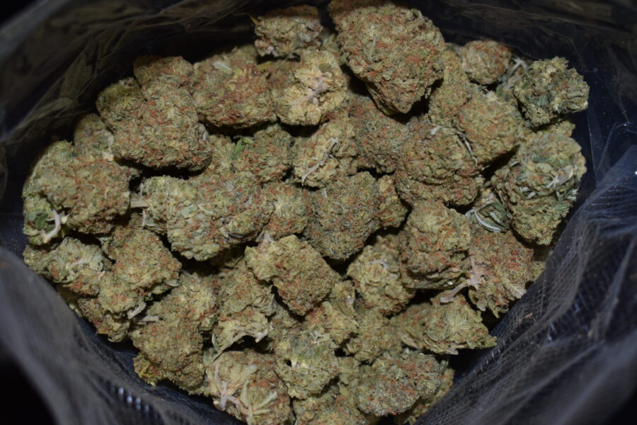 Lemon Drop Marijuana Strain