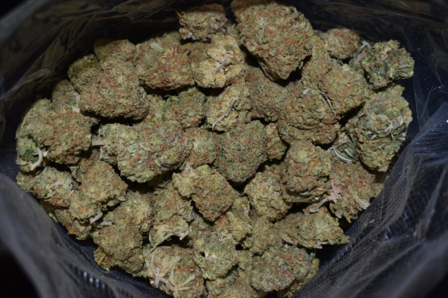 Lemon Drop Marijuana Strain