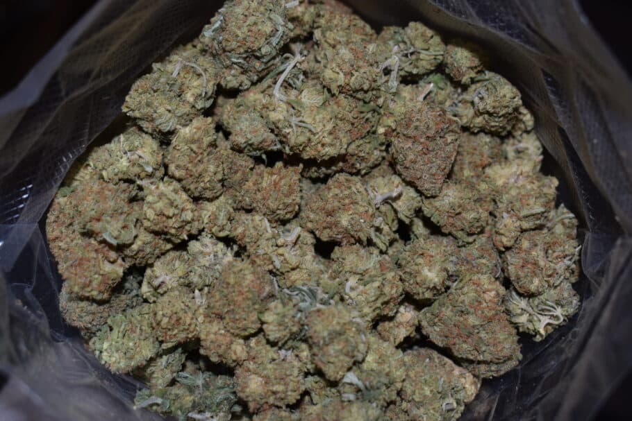 Lemon Drop Weed Strain