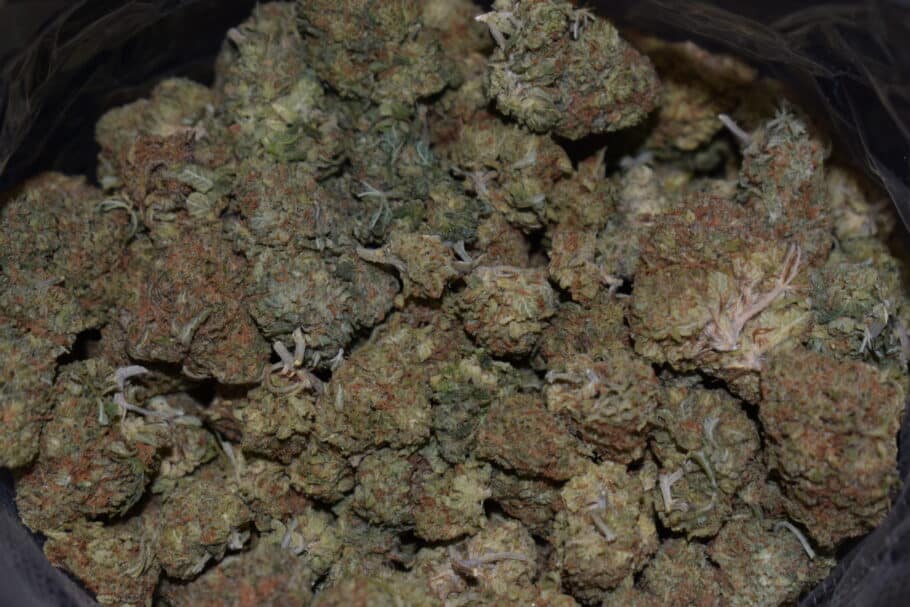 Lemon Drop Cannabis Strain