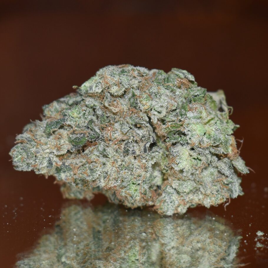 Moon Drops Bud
