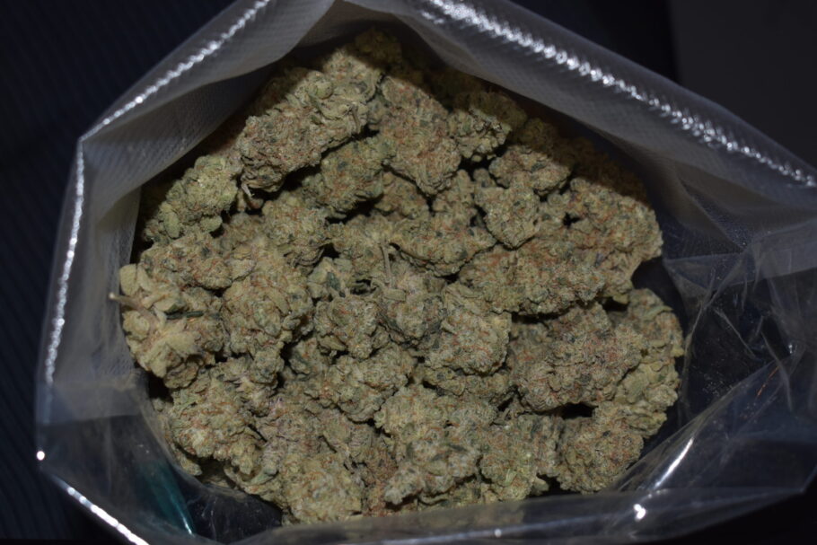 Purple Milk Weed Strain