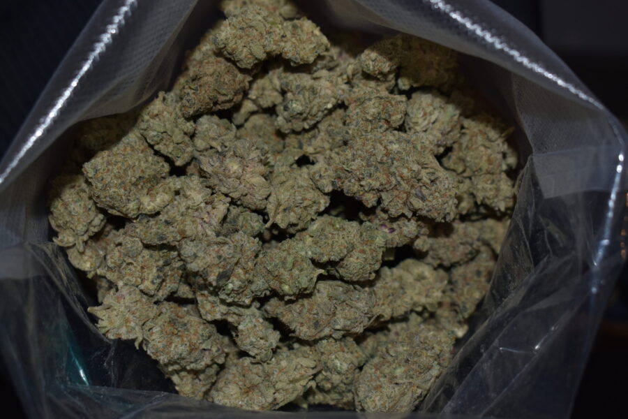 Purple Milk Cannabis Strain