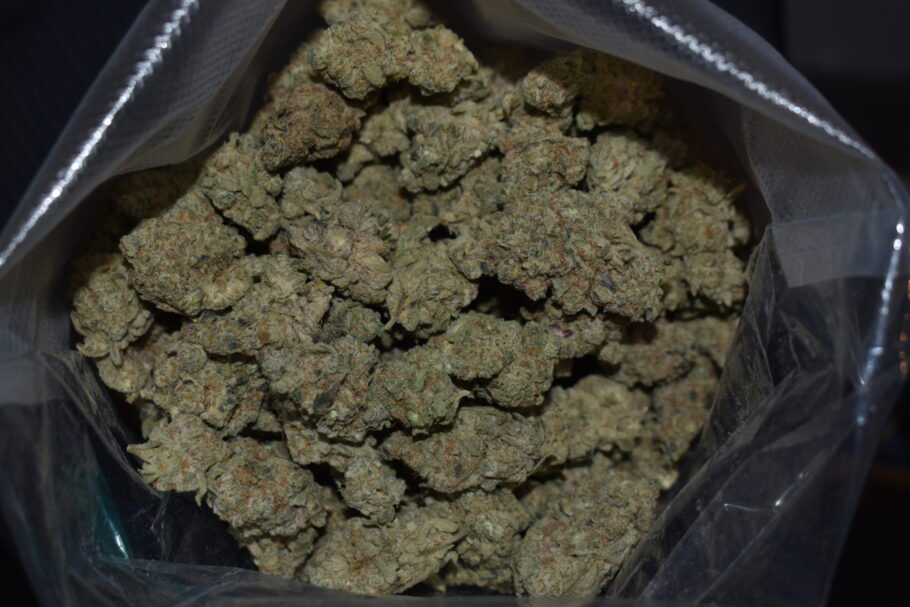 Purple Milk Cannabis Strain