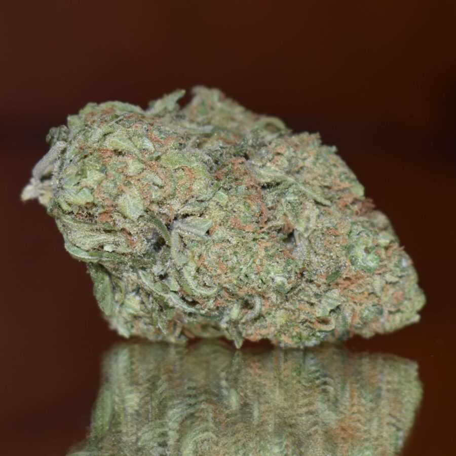 Sour Lemonade Bud