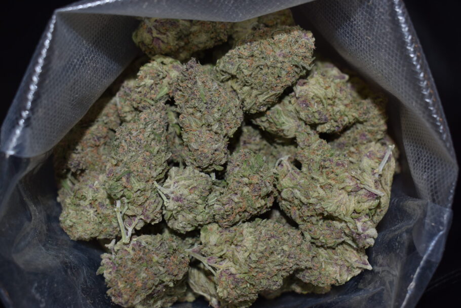 Tropical Poison Weed Strain