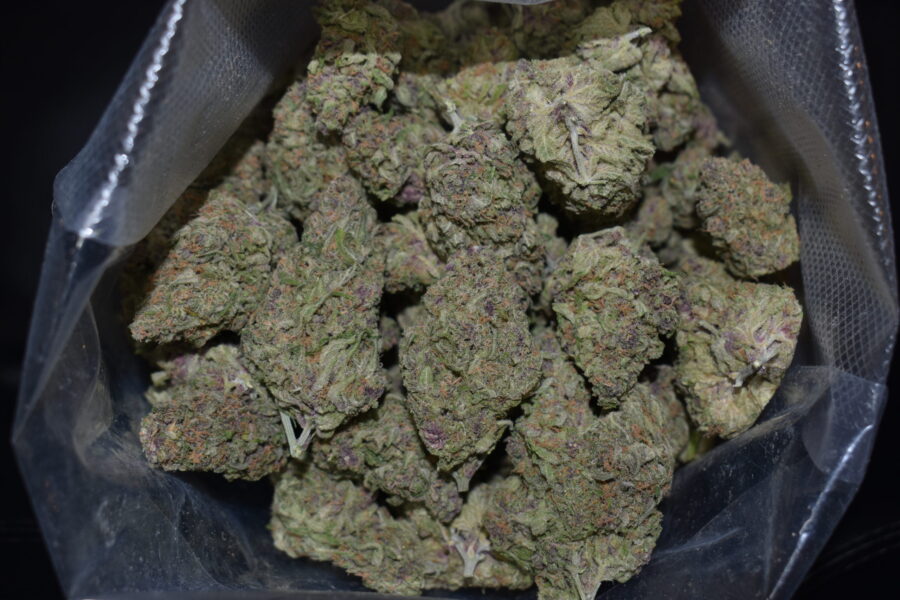 Tropical Poison Cannabis Strain