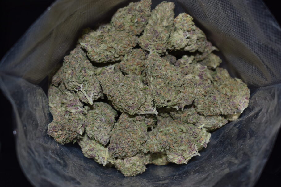Tropical Poison Marijuana Strain