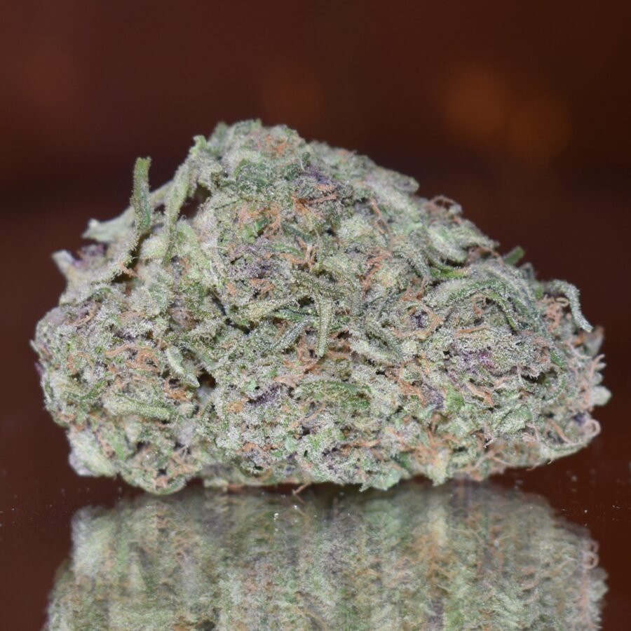Tropical Poison Bud