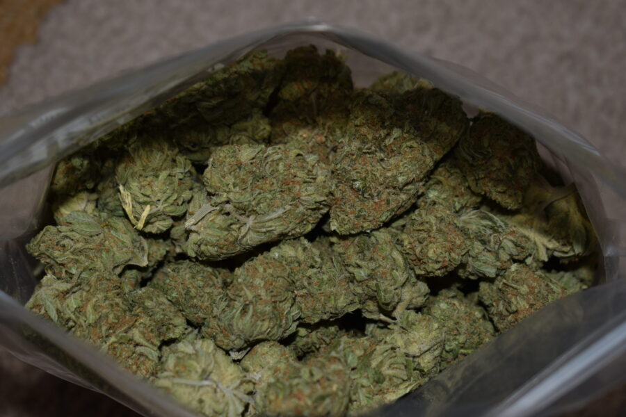 Sour Lemonade Weed Strain