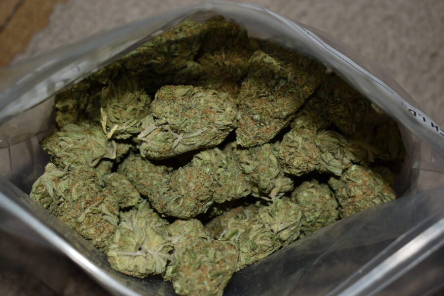 Sour Lemonade Cannabis Strain