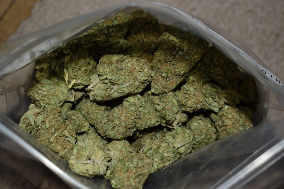Sour Lemonade Cannabis Strain
