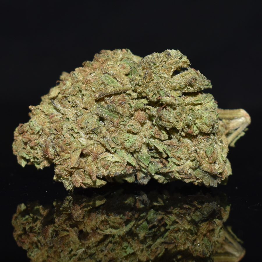 Blue Cheese strain, Blue Cheese weed strain, Blue Cheese marijuana strain, Blue Cheese Buds