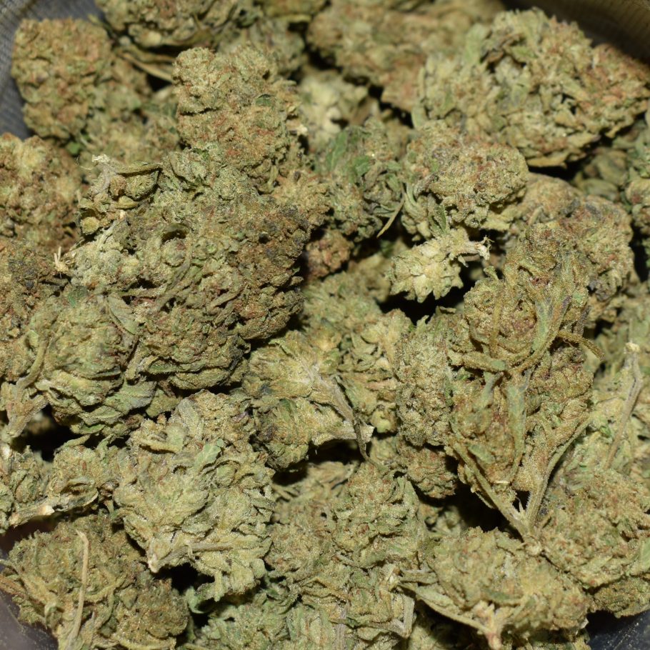 Blue Cheese strain, Blue Cheese weed strain, Blue Cheese marijuana strain, Blue Cheese Buds