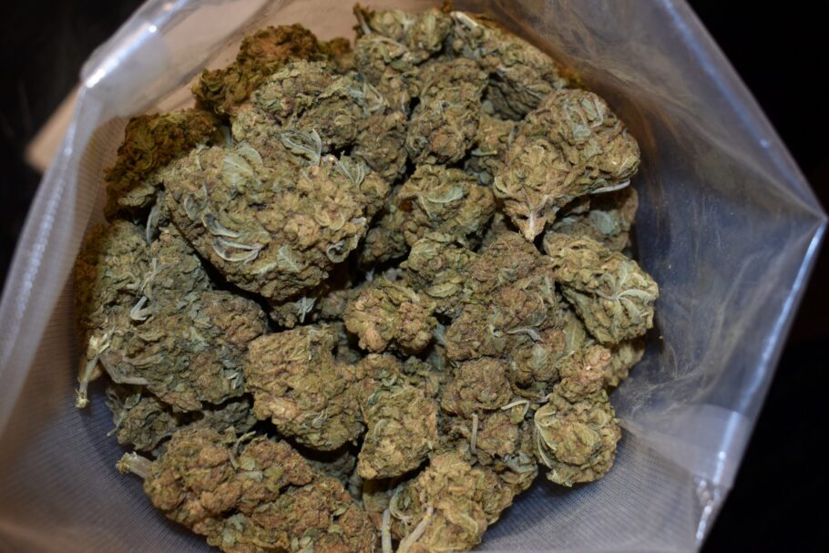 Recon Weed Strain