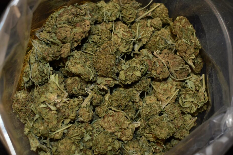 Venom OG Cannabis Strain