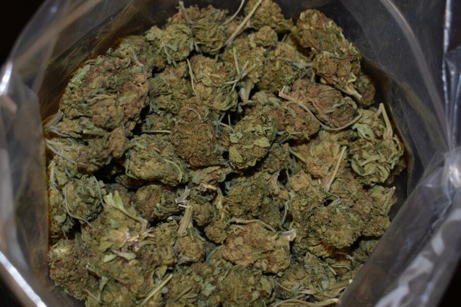 Venom OG Weed Strain