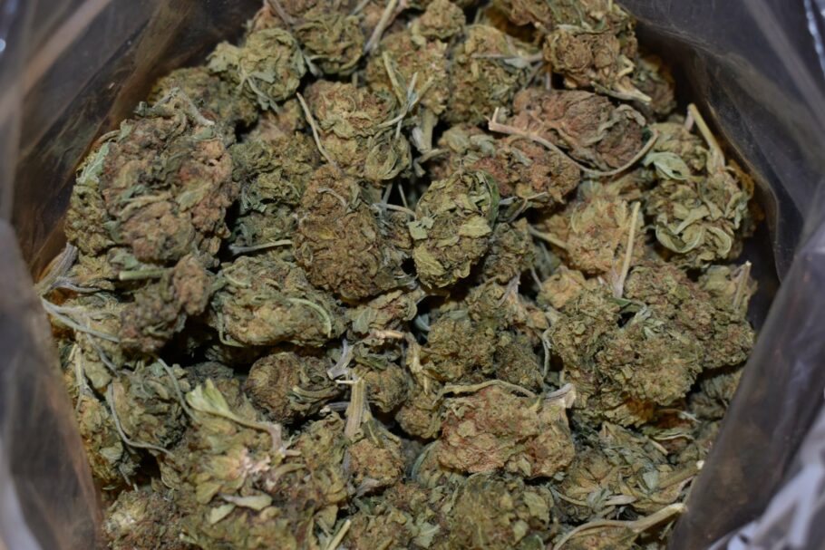 Venom OG Strain