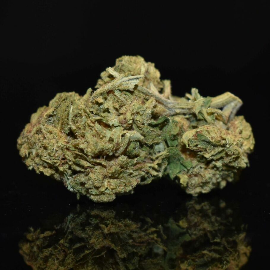 Venom OG Bud