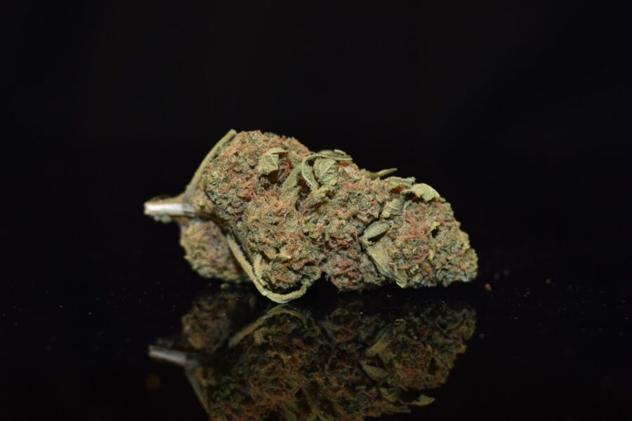 Venom OG Marijuana Strain