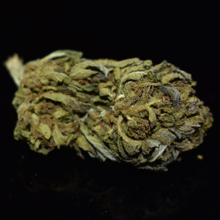 Purple Kush Marijuana Strain