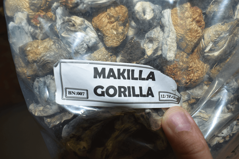 Makilla Gorilla Dried Shrooms