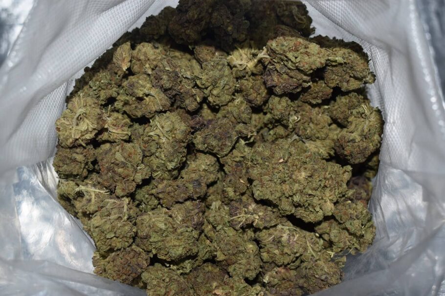 BC Kush Weed Strain