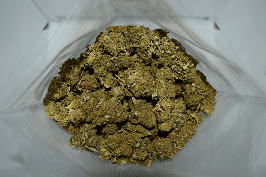 Black Jack Weed Strain