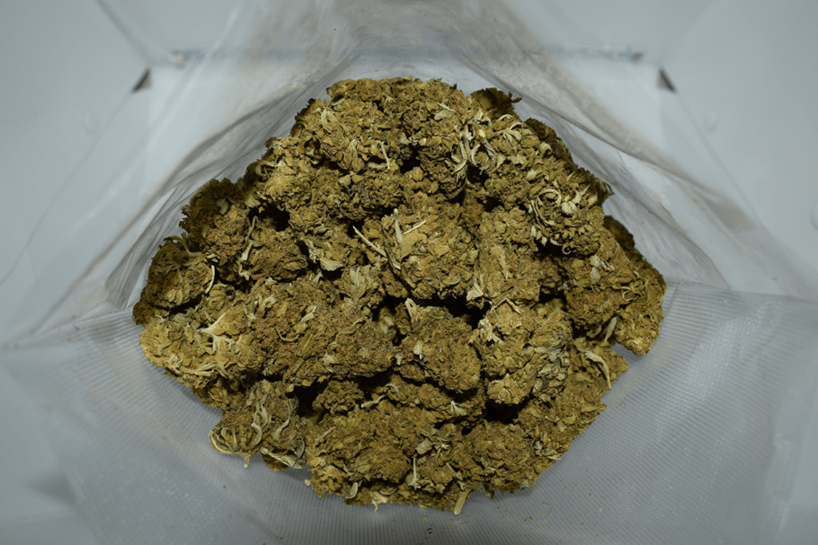 Black Jack Weed Strain