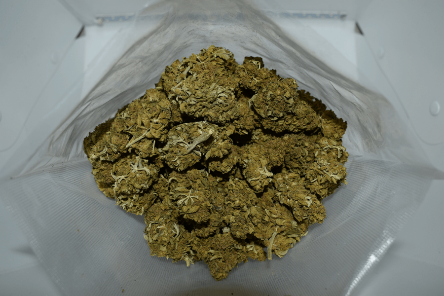 Black Jack Marijuana Strain