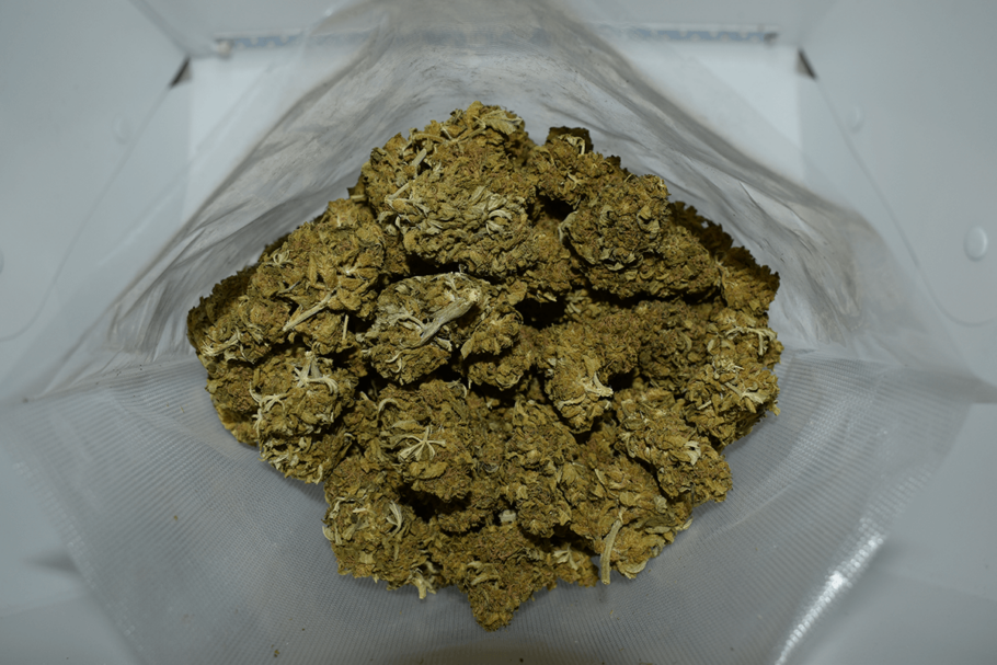 Black Jack Marijuana Strain