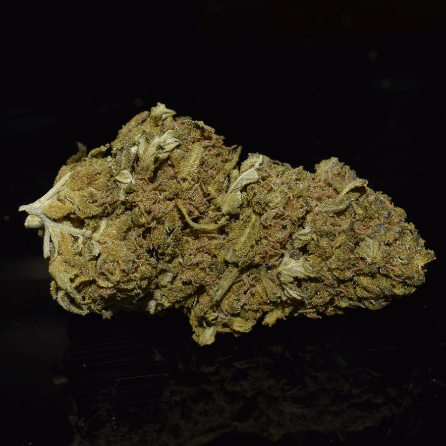 Black Jack Bud
