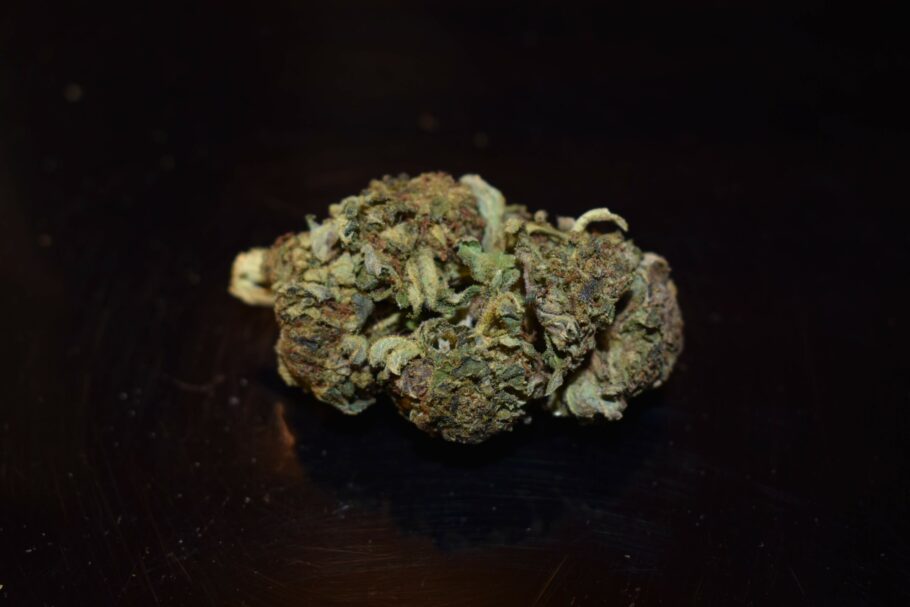 King Louis XIII (AA+) Cannabis Strain