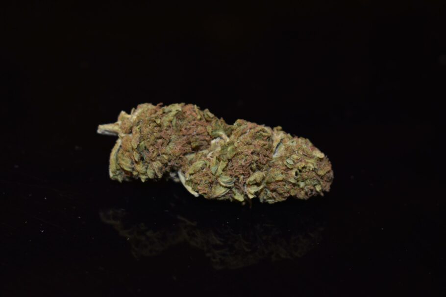 King Louis XIII (AA+) Cannabis Strain