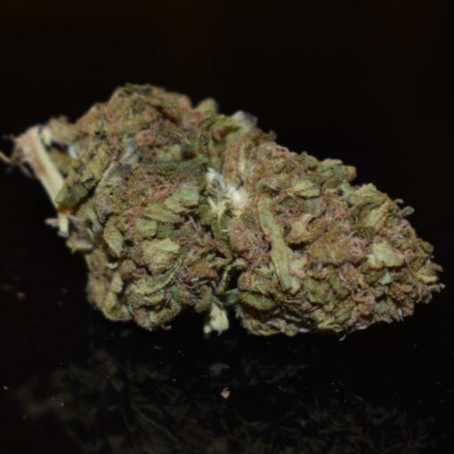 King Louis XIII (AA+) Cannabis Strain