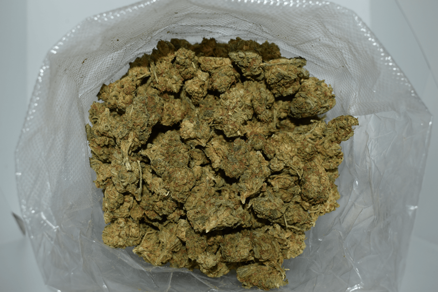 Durban Haze Weed Strain