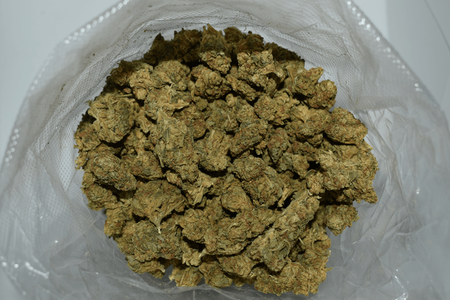 Durban Haze Cannabis Strain