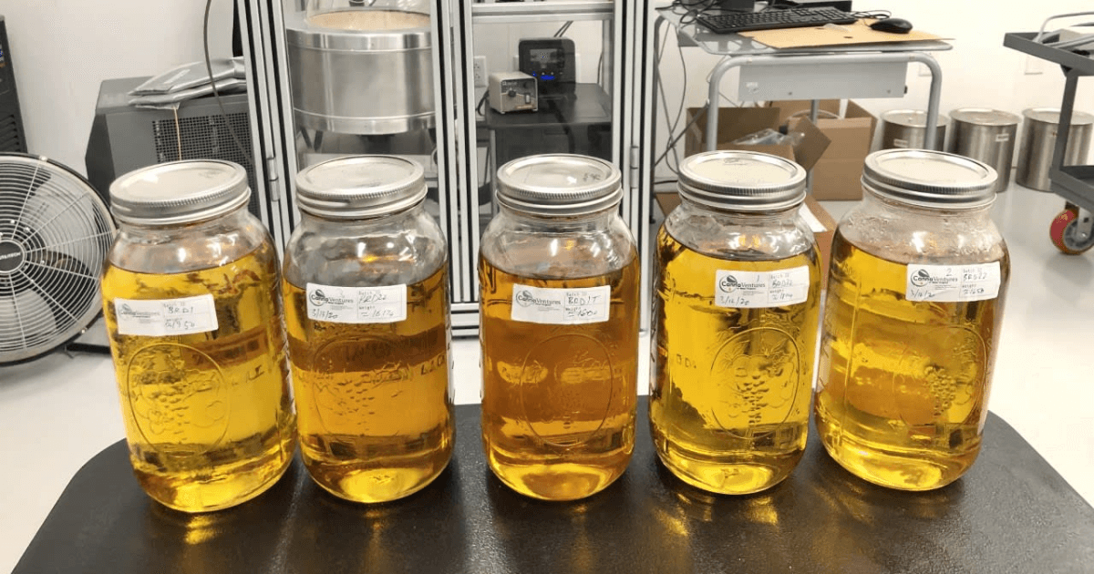 How to Store Cannabis Distillate?