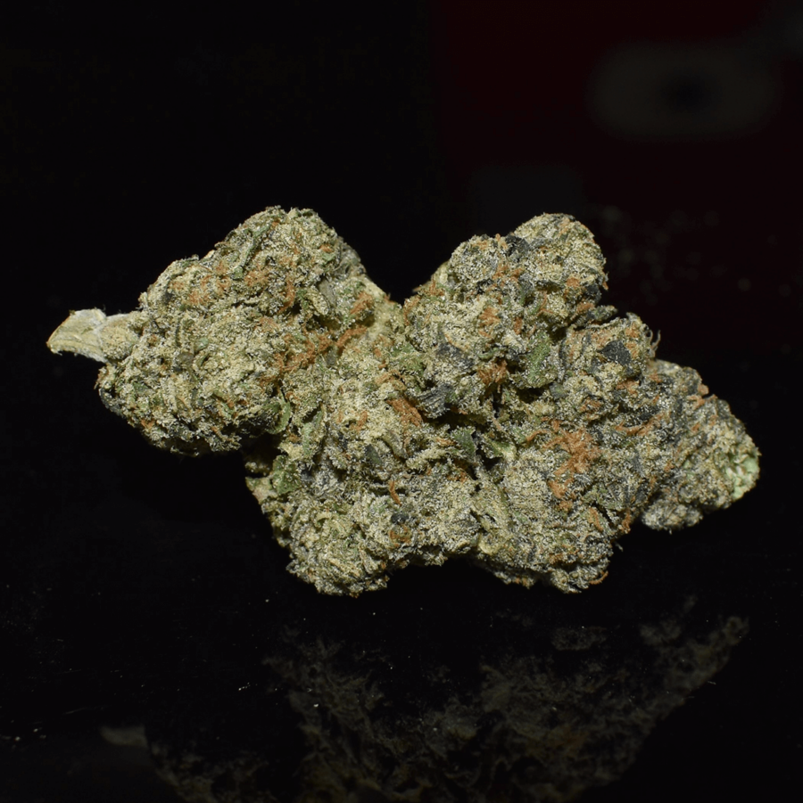 White Runtz Bud