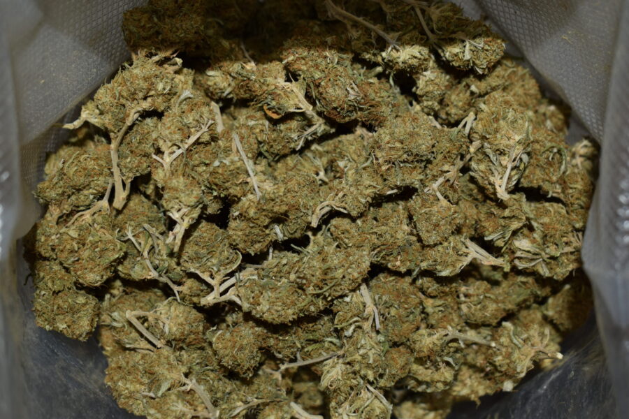 Northern Lights Cannabis Strain (AA)