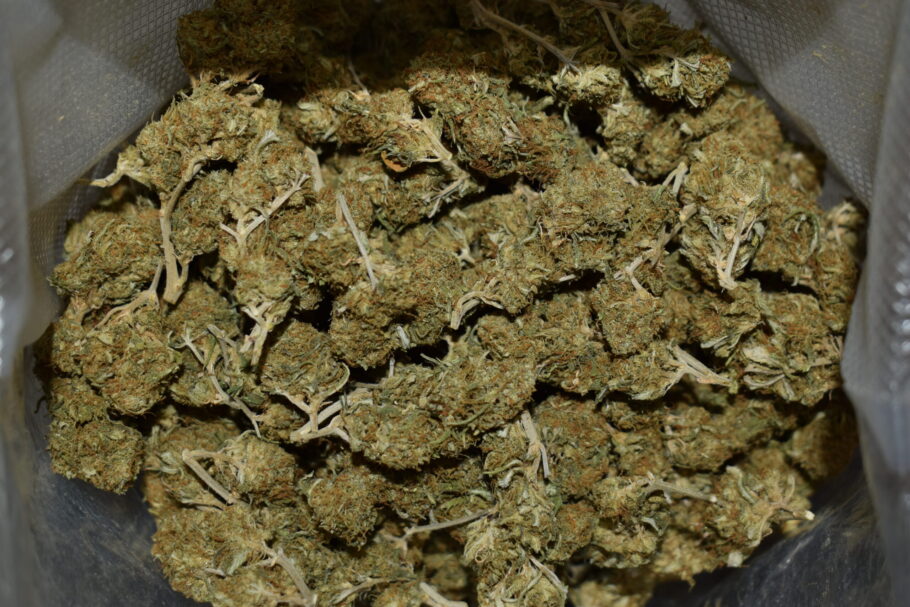 Northern Lights Cannabis Strain (AA)